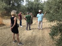 Visit of olive farmers, Vlore