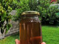 Sample of harvested honey (photo by Jan Staš)