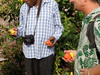 Weekend visit of cashew and crocodile farm together with prof Mukelabai Ndiyoi (photo by Petr Pudil)