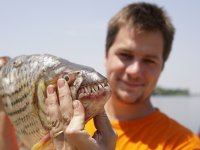 Visit of local fish market 2 (photo by Petr Pudil)