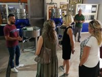 Visit by olive processor, Musaj Olive Oil, Vlore