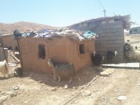 A village in lowland areas selected for data collection in Sulaymaniyah Governorate in The Kurdistan Region of Iraq