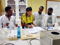 Establishing the In vitro experiment of Capsicum annum L. (Chili Pepper), At the Wondo Genet College of Forestry and Natural Resources.