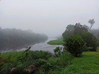 Mist over Nyong river