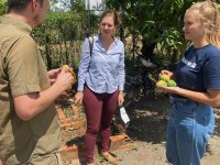 Tasting of fresh mango - From left: Jan Staš, Barbora Záčková (Development Counselor, Embassy of the Czech Republic in Phnom Penh), Michaela Vackova (Project Coordinator Southeast Asia, Diakonia ČR)