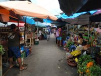 14.Pasaje Paquito in Iquitos city is one of Peru&#039;s biggest medicinal plant markets.