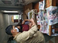 22.Voucher specimen processing in the herbarium of IVITA - Universidad Nacional Mayor de San Marcos. Pucallpa city