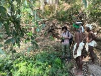 Plant specimen and data collection in the forest