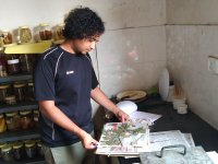 Preparation of herbarium specimen at FRLH Bangalore