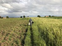 A local lady searching for wild food plants