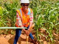 Esther in mining research