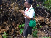 Soil sampling in Kaya forest