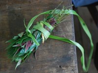 Prepared mixture of medicinal plants' leaves