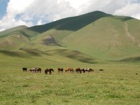 Typical view of Kyrgyz highland summer pastures