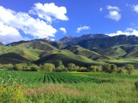 Croplands and pastures near settlements in mountainous Kyrgyzstan