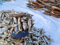Sun dried fish, photo by Jan Staš