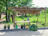 Ulovená antilopa u silnice, na prodej společně s avokády. Bushmeat je v Angole zcela běžný a ve větších vesnicích byl jediným jídlem na prodej...