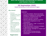 Flyer final conference