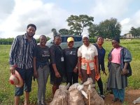 7_With the team during destructive sampling of bambara groundnut plants