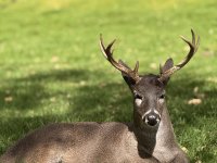 Melanie De La Torre_Exploring animal personality_Ecuador