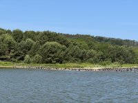 Radek Zdansky_Kormora´ni