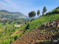 Jeremy Brendan Gratton_Uganda_Kashija Batwa Farming