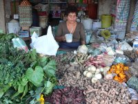 Our plant biodiversity research in Peru