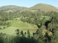 FTA biodiversity project in Ethiopa