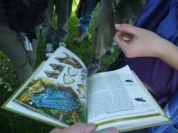 Our students during Wildlife Management Fieldwork