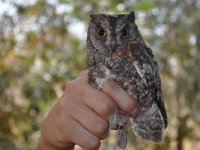 Bird trapping by our students