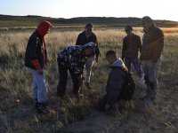 Laying of trapping traps on small mammals