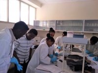 Practical part of the course was conducted in the laboratory. Students are preparing samples for DNA extractions.