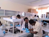 Praktická část kurzu probíhala v laboratoři, studenti připravují vzorky na extrakci DNA