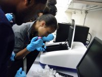 Praktická část kurzu v laboratoři, studenti měří koncentrace extrahované DNA