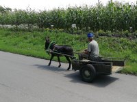 Terénní výzkum při Letní škole 2018 v Sumě