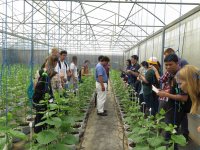 Visit of the melon farm, PISAI - Value Chain Management