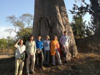 Tým lidí u baobabu.