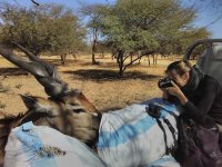 Studenti FTZ mají k antilopám blízko - Students of the FTA can sometimes get very close to elands