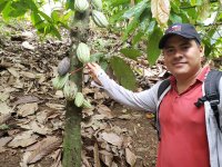 Carlos E. V. Gonzalez during his field research, in cacao agro-forestry systems in Guatemala
