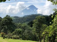 Alejandro Ruiz during sampling of native avocados in Guatemalan mountains