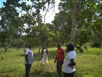 Project: Enhancement of livelihoods in the Kenyan Coastal Region by supporting Organic and Fair Trade certification of smallholders