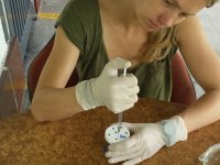 Nikola Teutscherova analysing a soil samples, Colombia