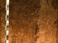 Soil profile, photo taken by Nikola Teutscherova