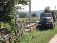 Farm in Orhei district