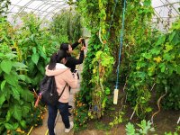 CULS campus tour - Botanical garden visit