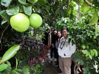 CULS campus tour - Botanical garden visit