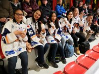 Side activity - Ice hockey match visit