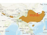 Mapa výskytu netopýra Rhinolophus sinicus, převzatá z IUNC (iuncredlist.org) ukazující polohu města Wu-chan na severní hranici výskytu tohoto netopýra.