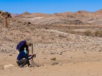 Alba Andrés Criado - Small-carnivores population survey in Southern Namibia