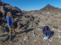 Alba Andrés Criado - Small-carnivores population survey in Southern Namibia